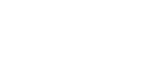 nutshell catamarans logo in white